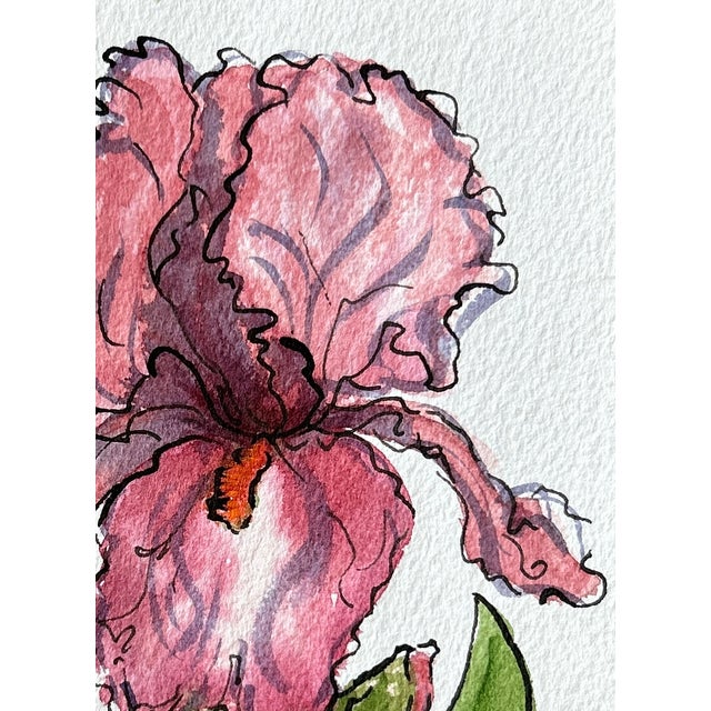 Giclee Print of Watercolor Ink and Wash Painting “Pink Iris” For Sale - Image 9 of 10