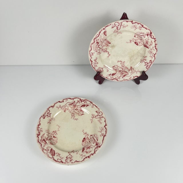 Vintage Terre De Fer Dinner Plates from KG Lunéville, 1800s, Set of 4 For Sale - Image 3 of 16