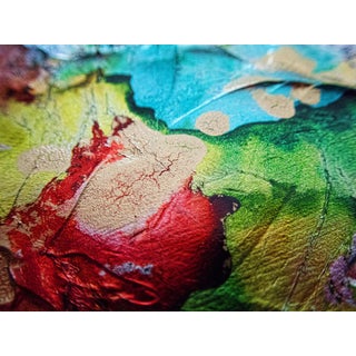 Abstract Limited Edition Print on Metallic Paper & Acrylic Mount 30"x40" - Festiva Macro 272