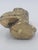 Mid 20th Century Mid 20th Century Brass Owl on Branch Figurine For Sale - Image 5 of 12