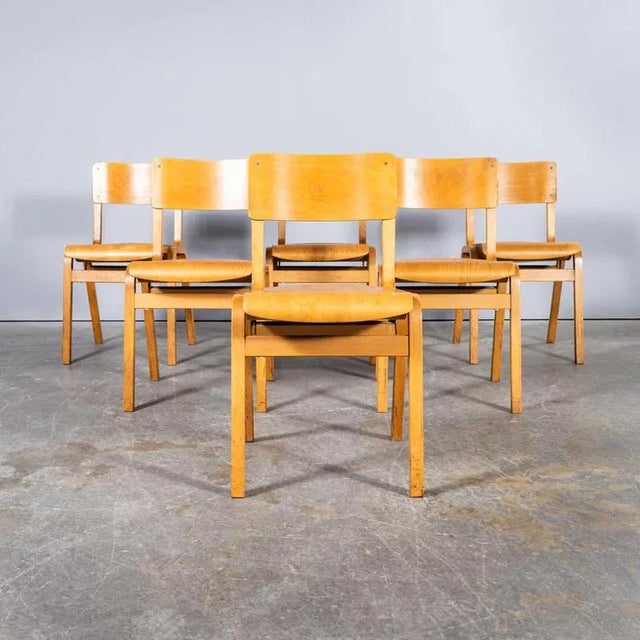 Vintage Beech Stacking Dining Chair, 1950s For Sale - Image 11 of 14