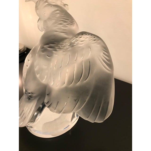 Lalique Crystal Sculpture Cockatoo Bird For Sale - Image 11 of 13
