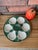 Vintage 1950s French Longchamp Green and White Oyster Plate For Sale - Image 16 of 16