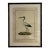 Natural Curiosities “Abou Hannes” Sacred Ibis Bird Print in Faux Bamboo Frame For Sale