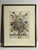 Late 20th Century Framed Prints, 12 Months of Flowers by Robert Furber Orig. 1730 - Set of Four For Sale In Philadelphia - Image 6 of 18