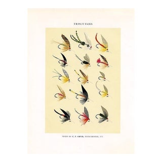 Vintage Trout Fishing Flies Print by Charles Orvis, Original Vintage Fishing Print, Lithograph For Sale