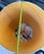 Contemporary Vintage Faux Bamboo Ceramic Lamp With Shade For Sale - Image 3 of 12