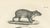 Black After Schinz, Porcupine, Agouti & Tapir, 1830, Lithographs, Set of 2 For Sale - Image 8 of 9