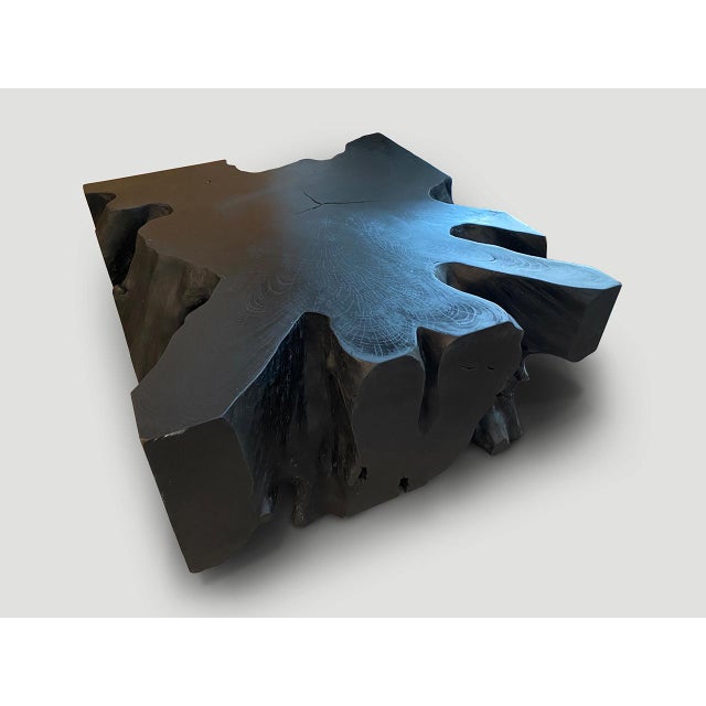 Andrianna Shamaris Impressive Charred Teak Wood Coffee Table or Console For Sale - Image 4 of 18