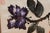 Late 20th Century Original Framed Chinese Watercolor by Zhang Li (Lily Taylor) For Sale In New York - Image 6 of 7
