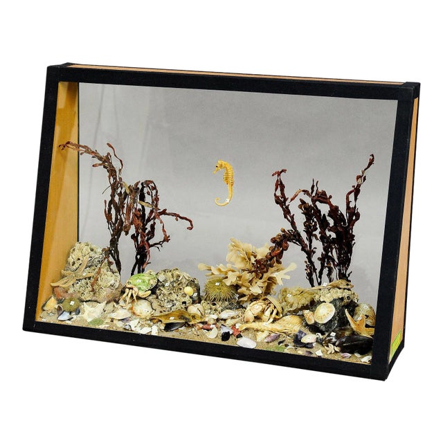 Antique Under the Water School Specimen For Sale