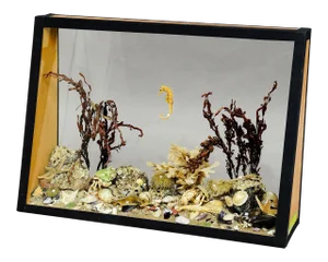 Antique Under the Water School Specimen