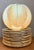 Vintage Italian Botanical Ceramic Dinner Plates - Set of 12 For Sale In West Palm - Image 6 of 15