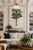 Vintage botanical artwork digitally enhanced from an 1878 palm illustration and refined for modern printing. Featuring...