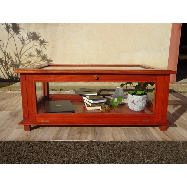 Display Cabinet with Exotic Wood Structure For Sale - Image 12 of 17