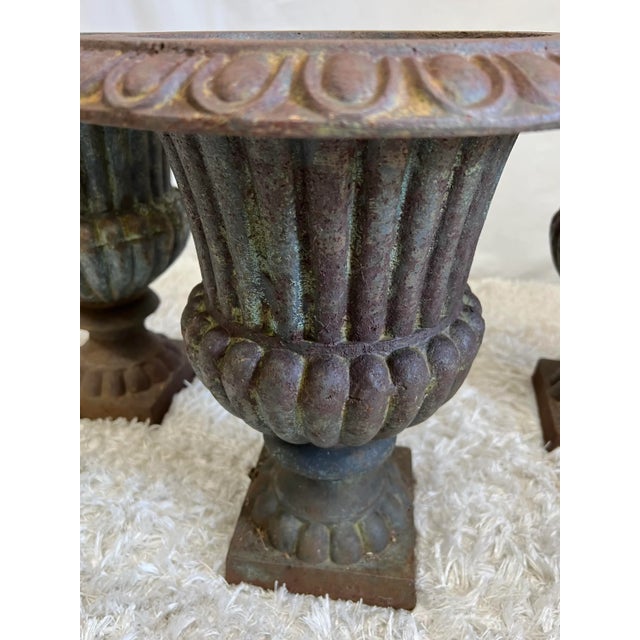 French French Campana Urn Style Fluted Cast Iron Planters - Set of 3 For Sale - Image 3 of 9