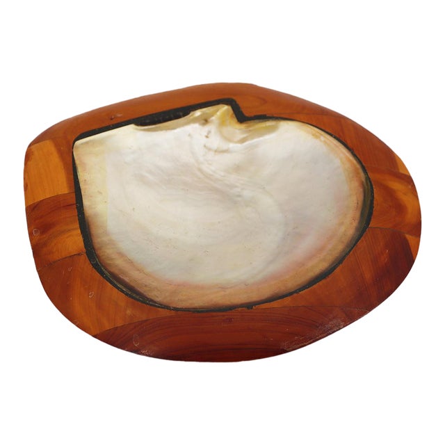Shell and Teak Root Wood Card Receiver or Trinket Tray in the Style of Alexandre Noll, France, 1950s For Sale