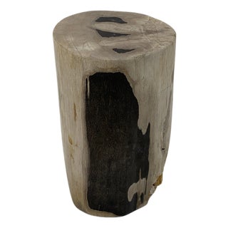 Beige to Black Petrified Wood Organic Stomp Shape Stand End Side Table Pedestal For Sale