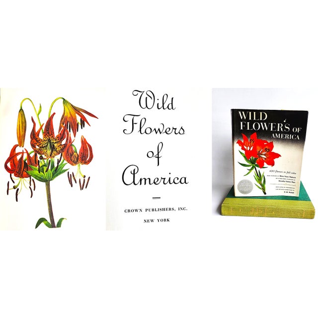 Black 1970s Smithsonian Edition "Wildflowers of America" Coffee Table Book For Sale - Image 8 of 11