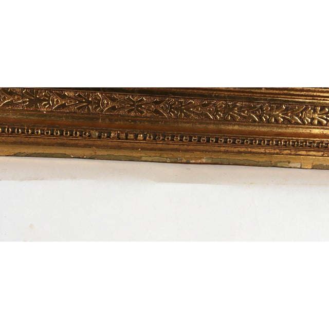 Circle of Georg Dionysius Ehret Iris Watercolor, Mid-18th Century For Sale In Philadelphia - Image 6 of 11