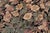 1990s Shabby Chic Botanical Inkalab Pak-Persian Black/ Tan Wool Rug - 10' X 14'3" For Sale - Image 4 of 10