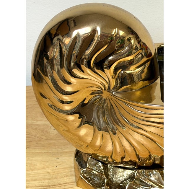 Large Polished Brass Nautilus Shell Vase by Sarreid, Spain, Circa 1970s For Sale - Image 12 of 14
