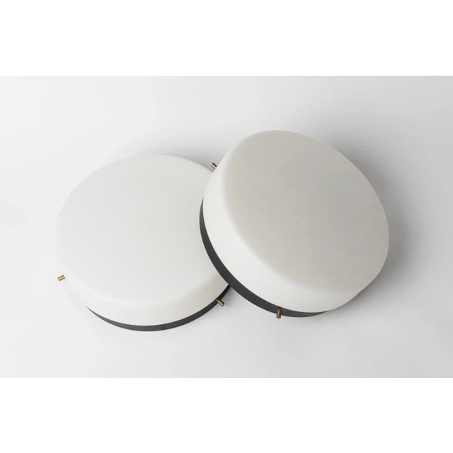 Round Black Lacquered Metal, Brass and Milk Glass Sconces, France 1960s For Sale - Image 4 of 5