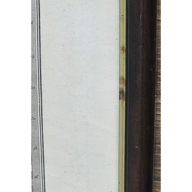 Antique 1825 Brué Map of Mexico & California — Framed French Engraving, 27.5" × 21.5" For Sale - Image 14 of 17