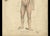 Kuhff, Human Body, 1879, Paper For Sale - Image 4 of 5