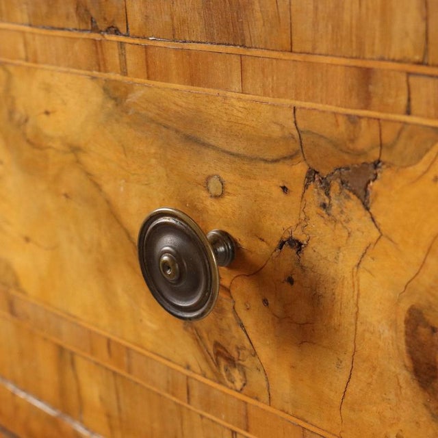 Wood Italian Chest of Drawers in Walnut For Sale - Image 7 of 12