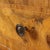 Wood Italian Chest of Drawers in Walnut For Sale - Image 7 of 12