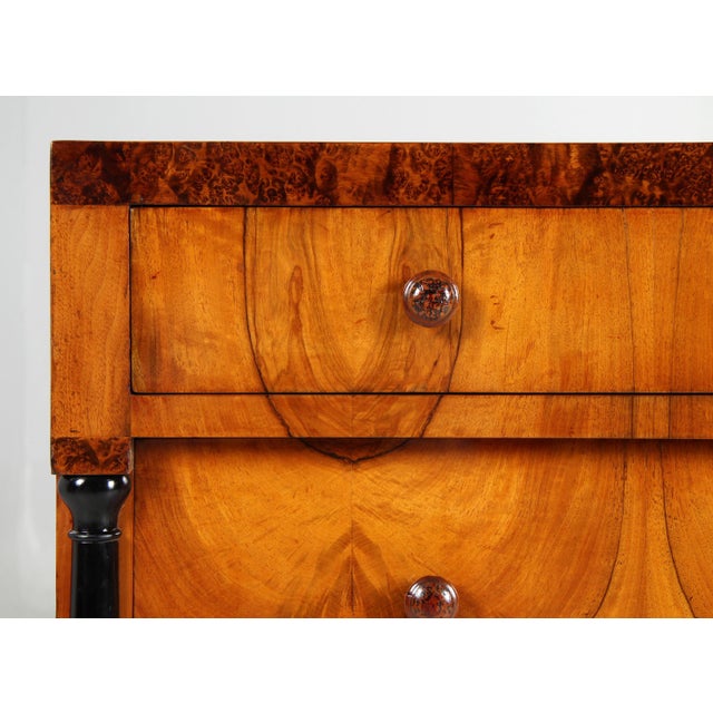 Biedermeier Chest of Drawers, 1820s For Sale - Image 9 of 14