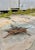 Gnarly Driftwood Base Coffee Table With Kidney Glass Top For Sale - Image 9 of 13