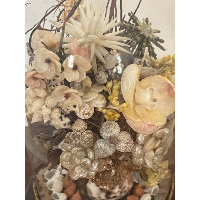 1940s Antique Sea Shell Floral Bouquet Arrangement With Immortella in Dome For Sale - Image 5 of 5