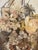 1940s Antique Sea Shell Floral Bouquet Arrangement With Immortella in Dome For Sale - Image 5 of 5