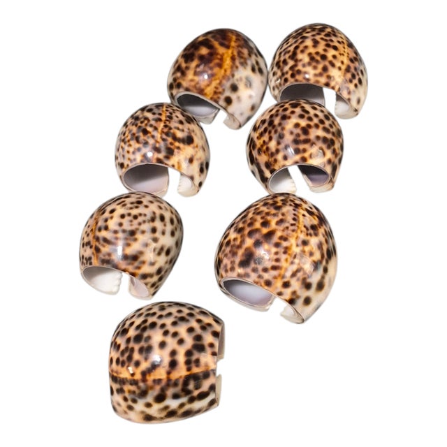 Shell Vintage Nautical Sea Life Table Decor Seven Tiger Cowrie Shell Napkin Rings For Sale - Image 7 of 7