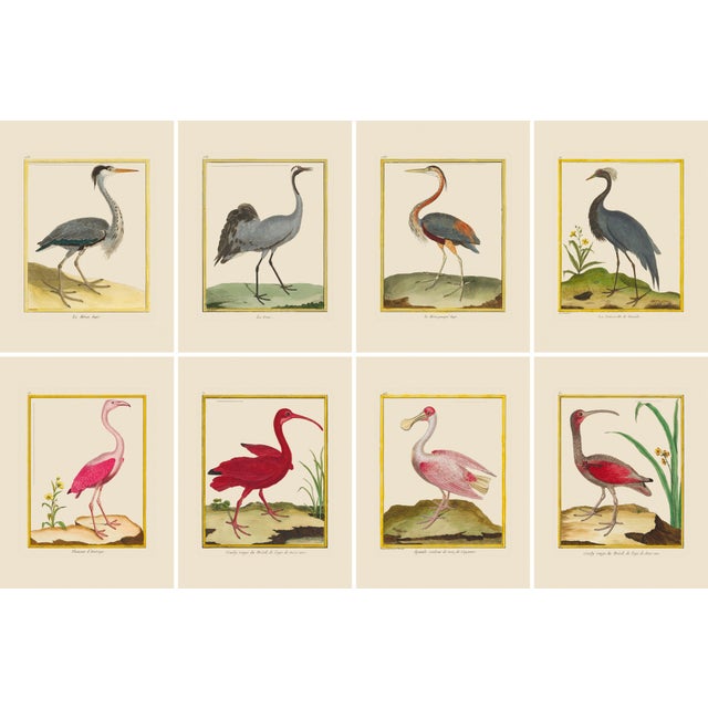 Shore Bird Grouping by Martinet Blue and Pink Giclee Reproductions For Sale - Image 10 of 11