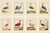 Shore Bird Grouping by Martinet Blue and Pink Giclee Reproductions For Sale - Image 10 of 11