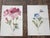 Realism Antique 19th Century Edward Hulme Botanical "Garden Flowers" Lithographs - Set of 12 - Super Price! For Sale - Image 3 of 9