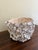 French Country Coastal Sea Shell Planter or Cachepot For Sale - Image 3 of 7