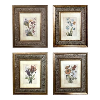 Vintage Giltwood Framed Botanical / Floral Prints, a Set of 4 For Sale