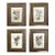 Vintage Giltwood Framed Botanical / Floral Prints, a Set of 4 For Sale