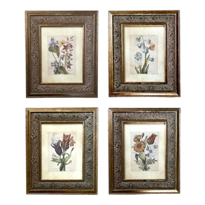 Vintage Giltwood Framed Botanical / Floral Prints, a Set of 4