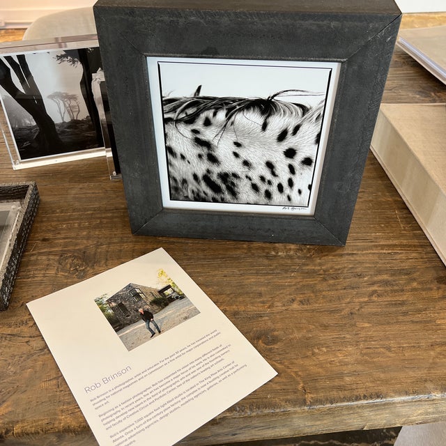 "Spotted Mane" Limited Edition Print by Rob Brinson For Sale - Image 10 of 13
