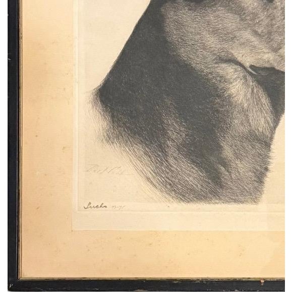 Limited Edition Bert Cobb Signed Drypoint Etching German Shepherd Luchs 33 of 75 For Sale - Image 9 of 12