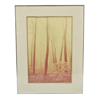 Vintage David Lorenz Winston "Seven Trees" Landscape Signed Framed Art Print For Sale