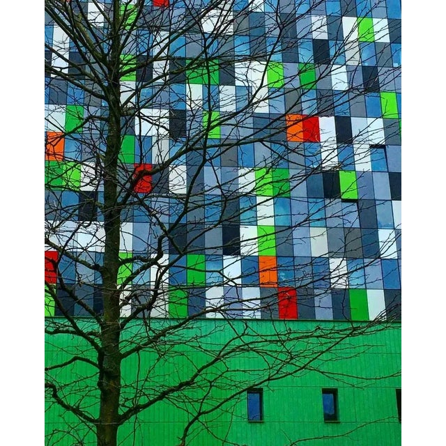 Colour Pop is a colorful photograph on Pearl photographic paper realized by the artist Cindi Emond in 2016. Edition of 10...