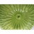Green Murano Glass Chandelier Italian White Graniglia" Budino" Flush Mount in 70' Style For Sale - Image 6 of 14