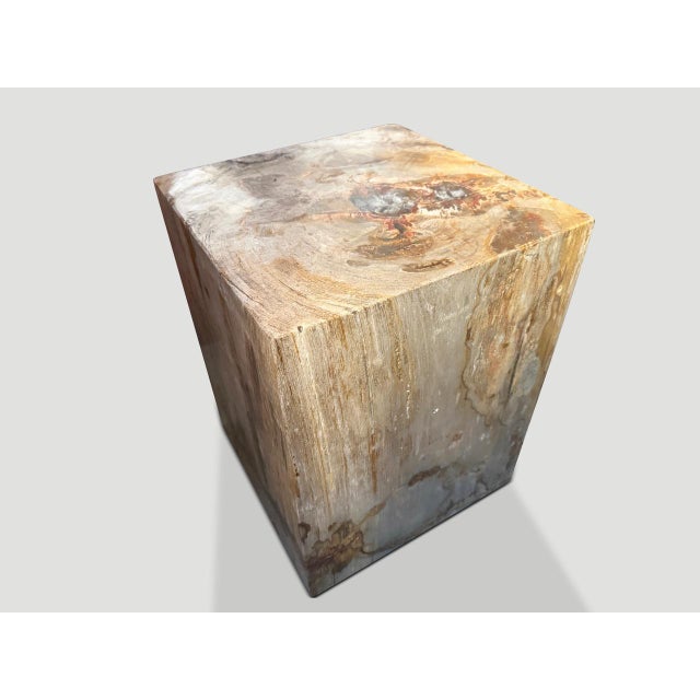 Andrianna Shamaris Petrified Wood Side Table with Cracked Resin For Sale - Image 10 of 18