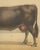 After Charles Olivier de Penne, Schwyz Cow with Bell, Swiss Brown Cattle, 1863, Chromolithograph For Sale - Image 6 of 9